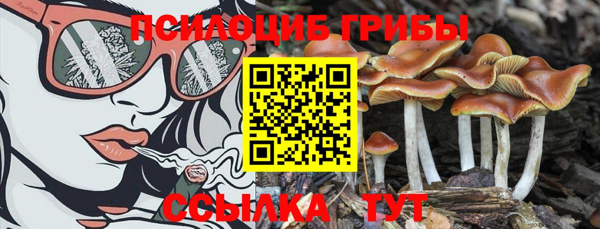 Псилоцибиновые грибы мухоморы  Вход с VPN  Борисоглебск 